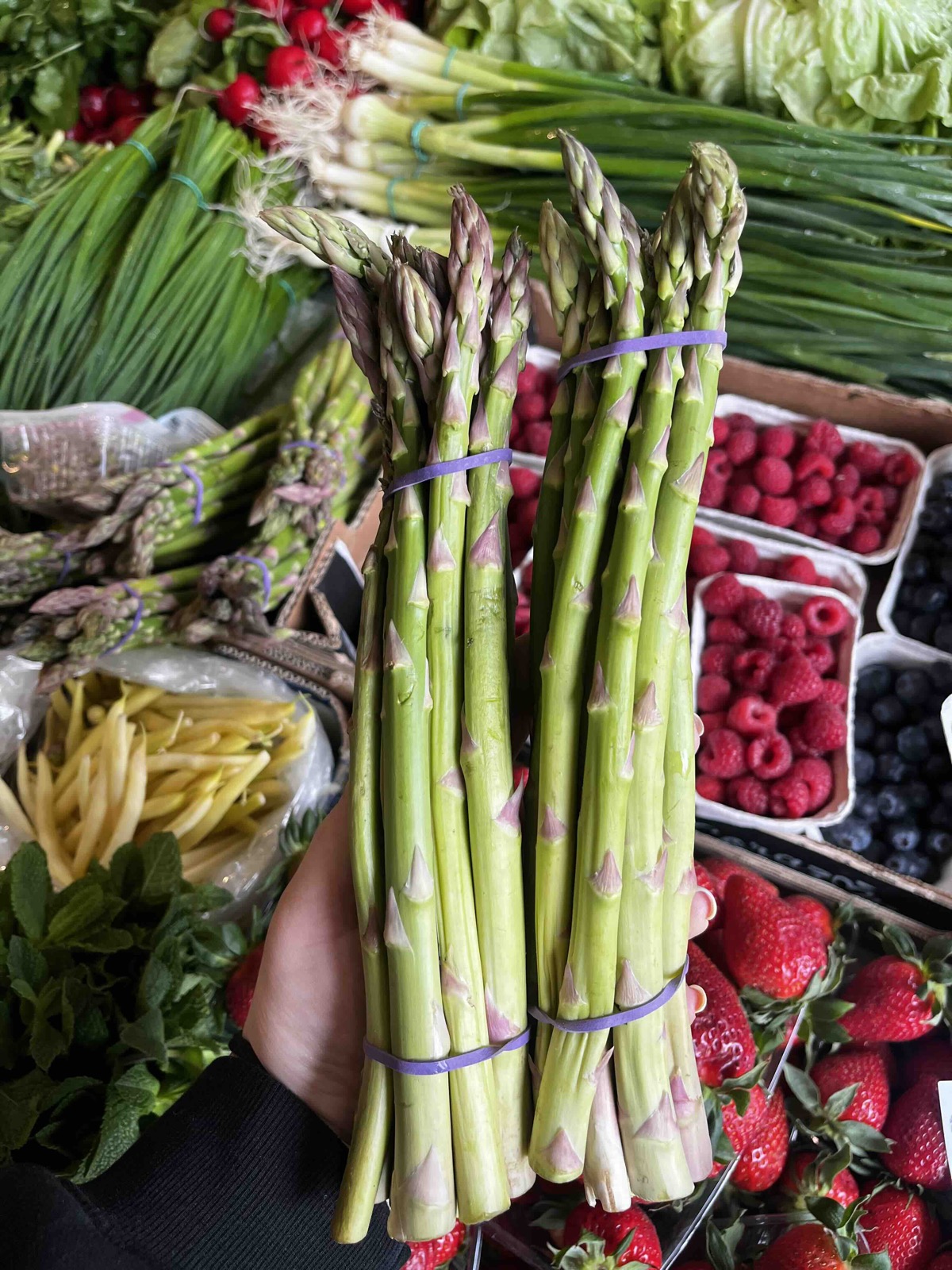 Świeże szparagi prosto od dostawcy